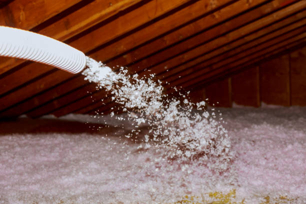 Best DIY Insulation Kits and Guidance in Bon Air, VA