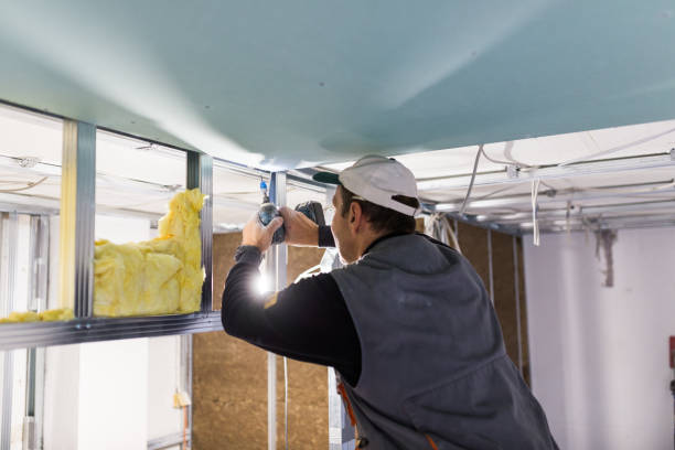 Best Specialized Insulation Services in Bon Air, VA
