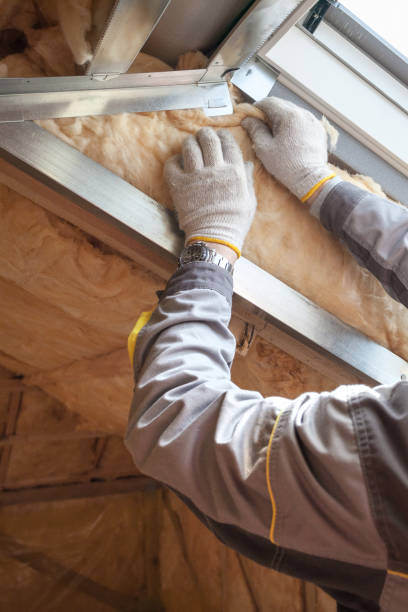 Best Insulation for Specific Applications in Bon Air, VA