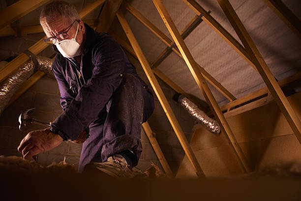 Best Energy Efficiency Insulation in Bon Air, VA